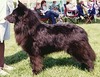 Letekoe N'Seracks Great S Caper (Scaper)